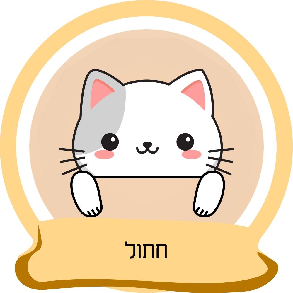 איור חתול חמוד כחלק מקטגוריית חתולים באתר חבר נאמן.