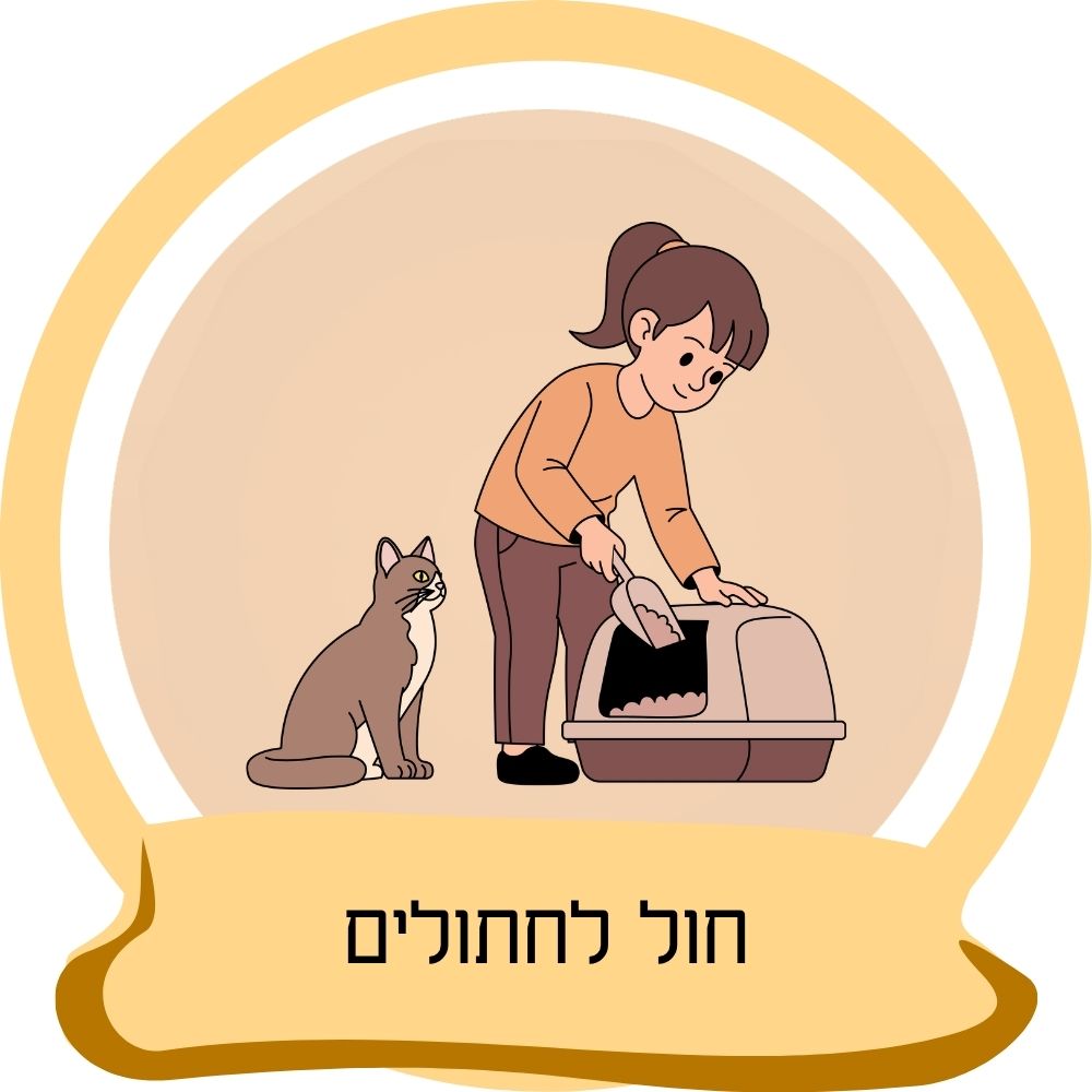 חול לחתולים – איור של ניקוי ארגז חול לחתול כחלק מקטגוריית חול לחתולים באתר חבר נאמן.