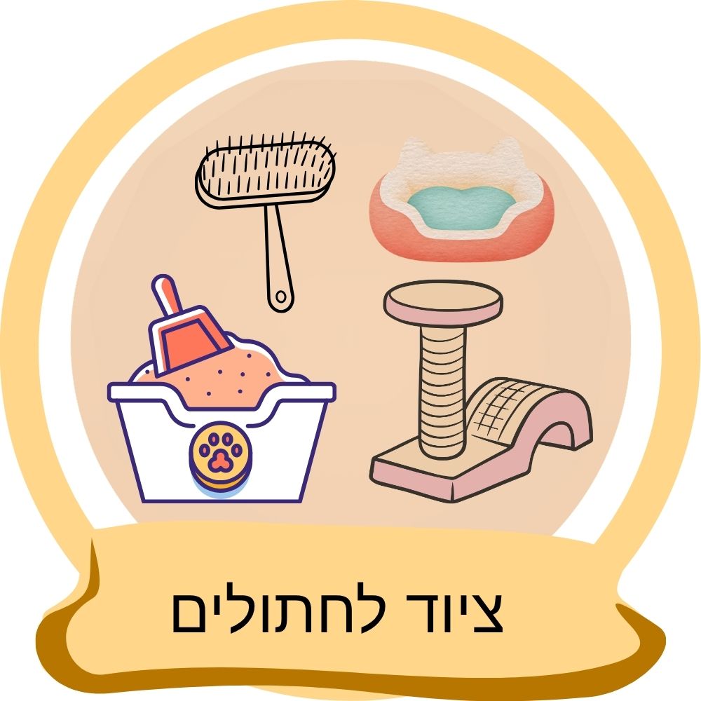 ציוד לחתולים – ארגז חול, מברשת טיפוח, מיטת חתול ומתקן גירוד לחיי יום־יום נוחים ומהנים לחתול בבית.