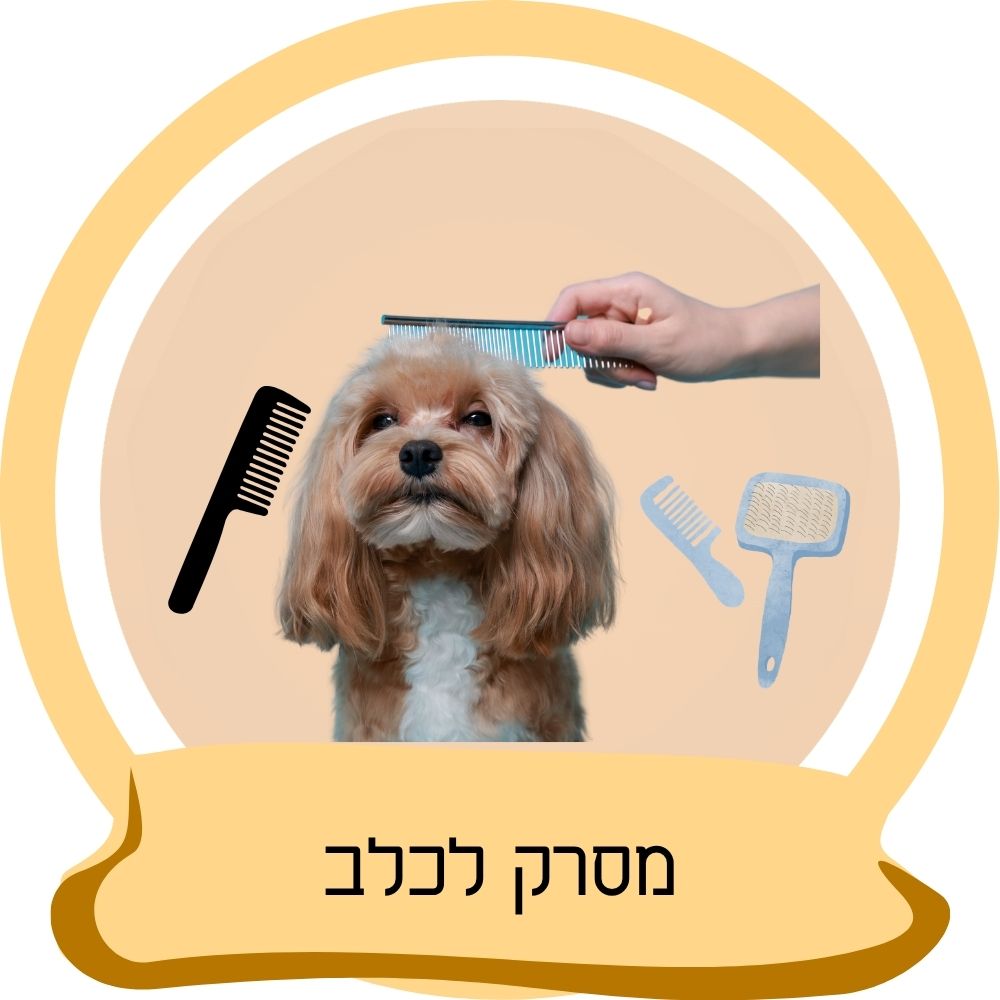 מסרק לכלבים עם כלב בזמן הברשת פרווה כחלק מקטגוריית מסרקים לכלבים באתר חבר נאמן.