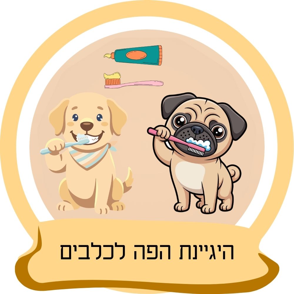 היגיינת פה לכלבים – כלבים מצחצחים שיניים כחלק מקטגוריית מוצרי דנטל והיגיינת פה לכלבים באתר חבר נאמן.