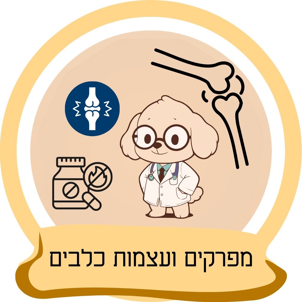 תוספי מפרקים ועצמות לכלבים – אייקון קטגוריה עם ויטמינים ותמיכה במפרקי כלבים באתר חבר נאמן.