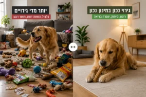 השוואה בין כלב מוצף בצעצועים וחטיפים לבין כלב רגוע עם צעצוע לעיסה אחד בבית מסודר.