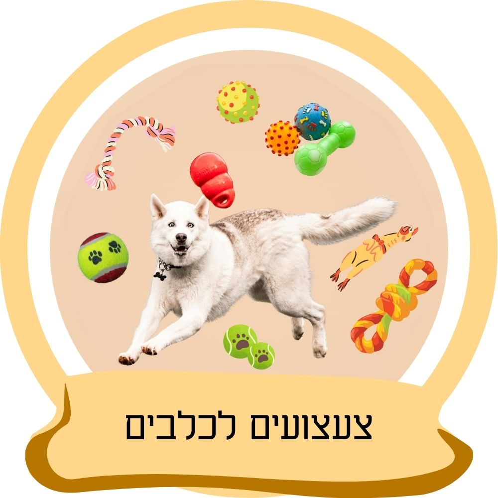 צעצועים לכלבים – כדורים, חבלי משחק וצעצועי לעיסה לכלבים כחלק מקטגוריית צעצועים לכלבים באתר חבר נאמן.