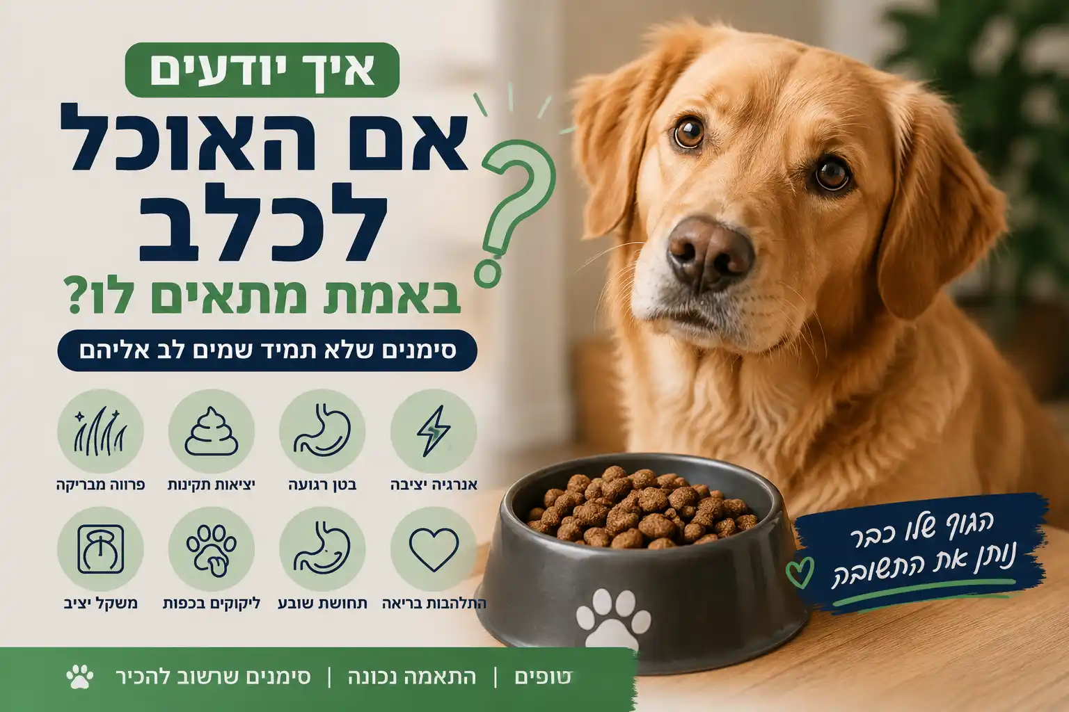 איך יודעים אם אוכל לכלב מתאים לו – סימנים כמו פרווה מבריקה, יציאות תקינות, אנרגיה טובה ומשקל מאוזן אצל כלב ביתי