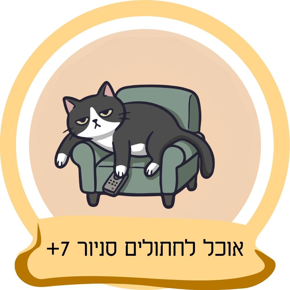 אוכל לחתולים סניור 7+ עם חתול מבוגר על כורסה כחלק מקטגוריית אוכל לחתולים סניור באתר חבר נאמן.