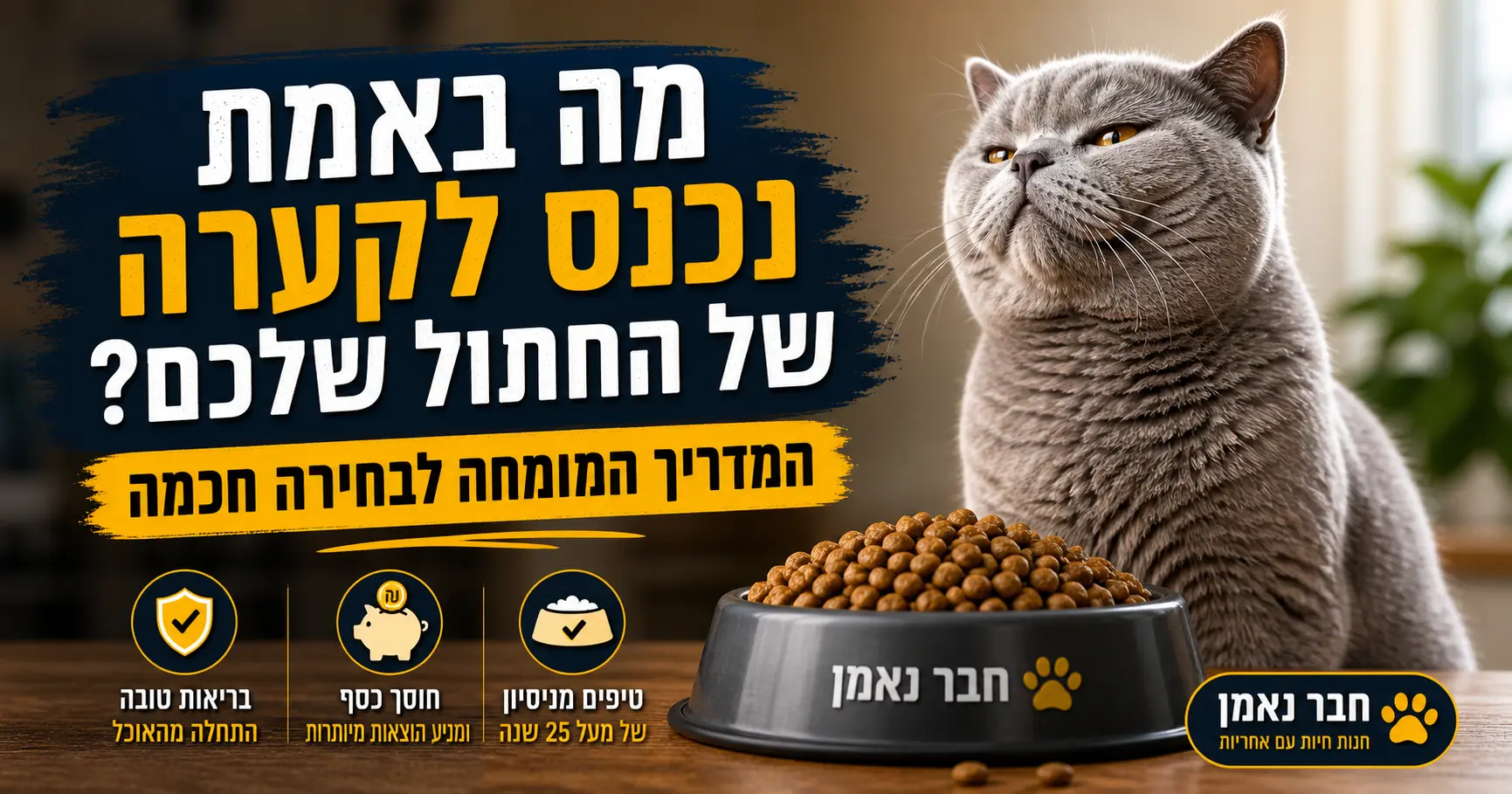 מה באמת נכנס לקערה של החתול ואיך לבחור אוכל איכותי