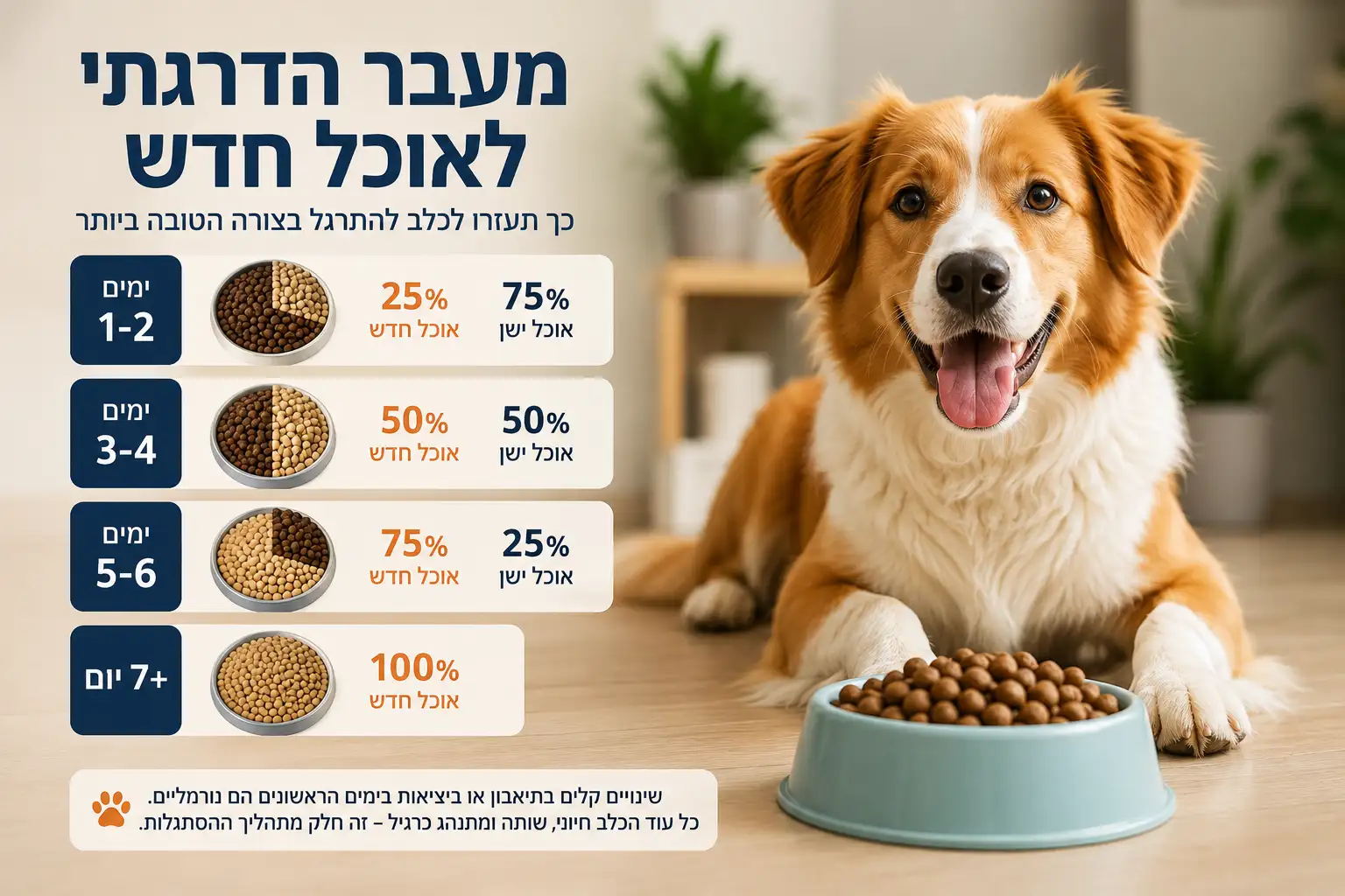 מעבר הדרגתי לאוכל חדש לכלב – טבלת הסתגלות בין מזון ישן למזון חדש לפי ימים