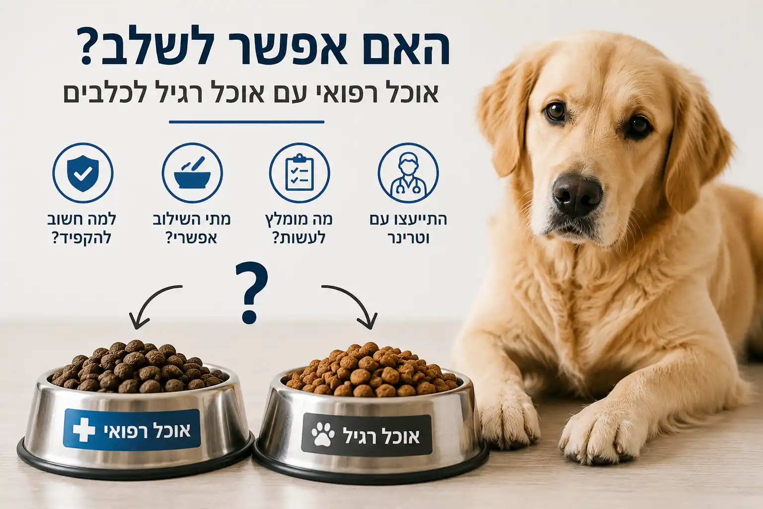 אינפוגרפיקה המסבירה האם אפשר לשלב אוכל רפואי עם אוכל רגיל לכלבים ומתי מומלץ להימנע משילוב