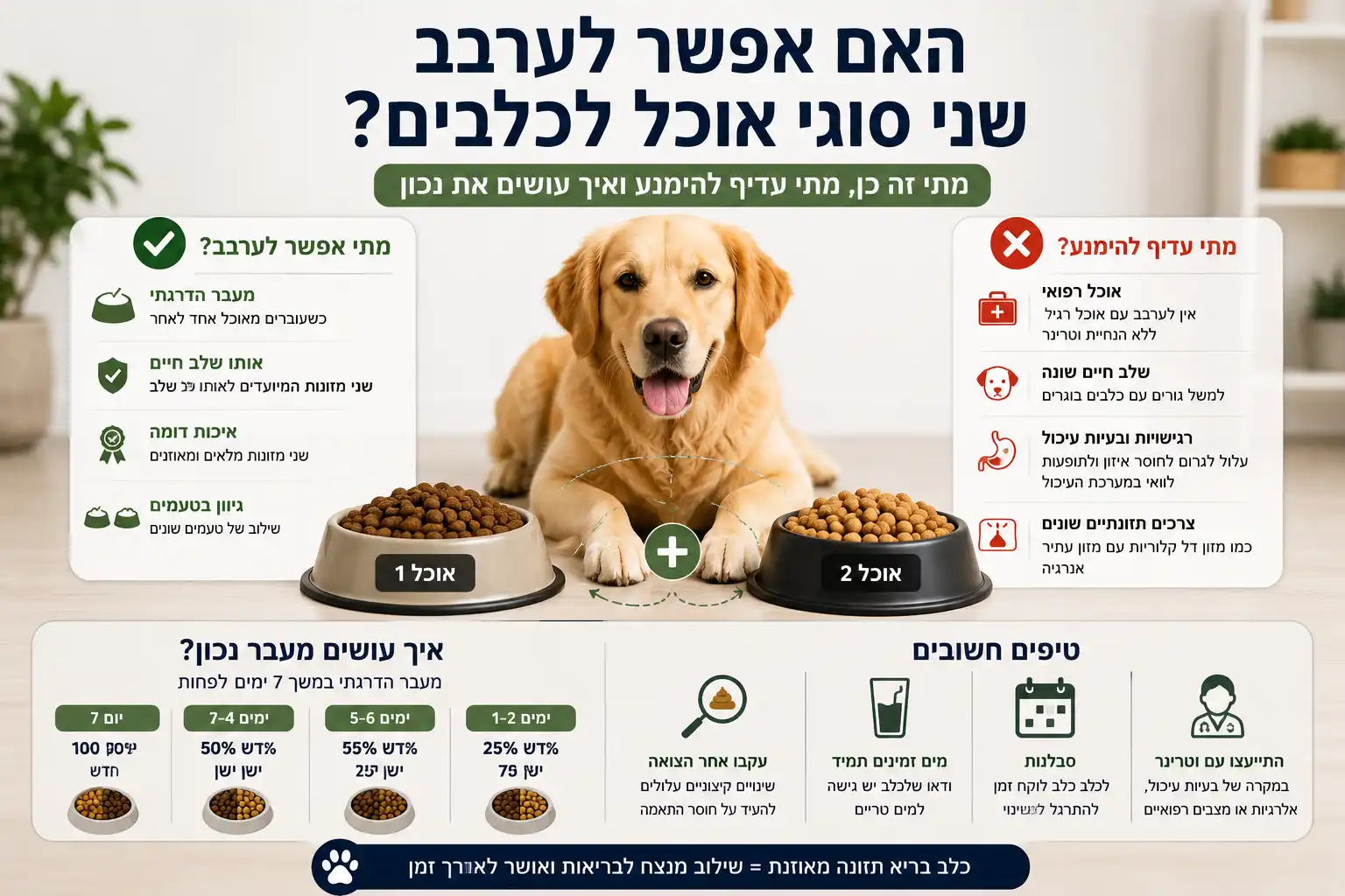 אינפוגרפיקה המסבירה מתי אפשר לערבב שני סוגי אוכל לכלבים, מתי עדיף להימנע ואיך לבצע מעבר הדרגתי בצורה נכונה