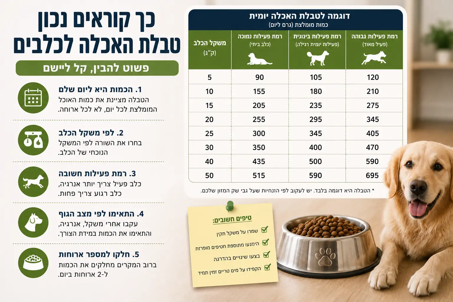 מדריך לקריאת טבלת האכלה לכלבים עם דוגמה לטבלת כמויות מזון יומיות לפי משקל הכלב ורמת הפעילות