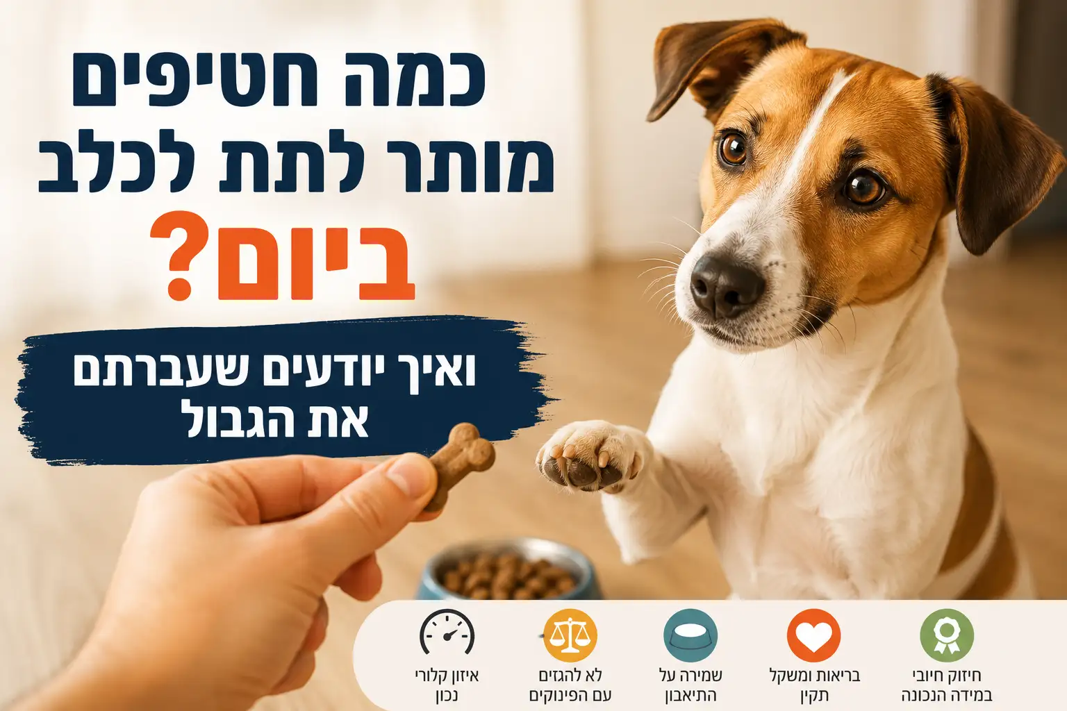 כמה חטיפים מותר לתת לכלב ביום – מדריך על כמות חטיפים מומלצת לכלבים והשפעתם על המשקל והתיאבון