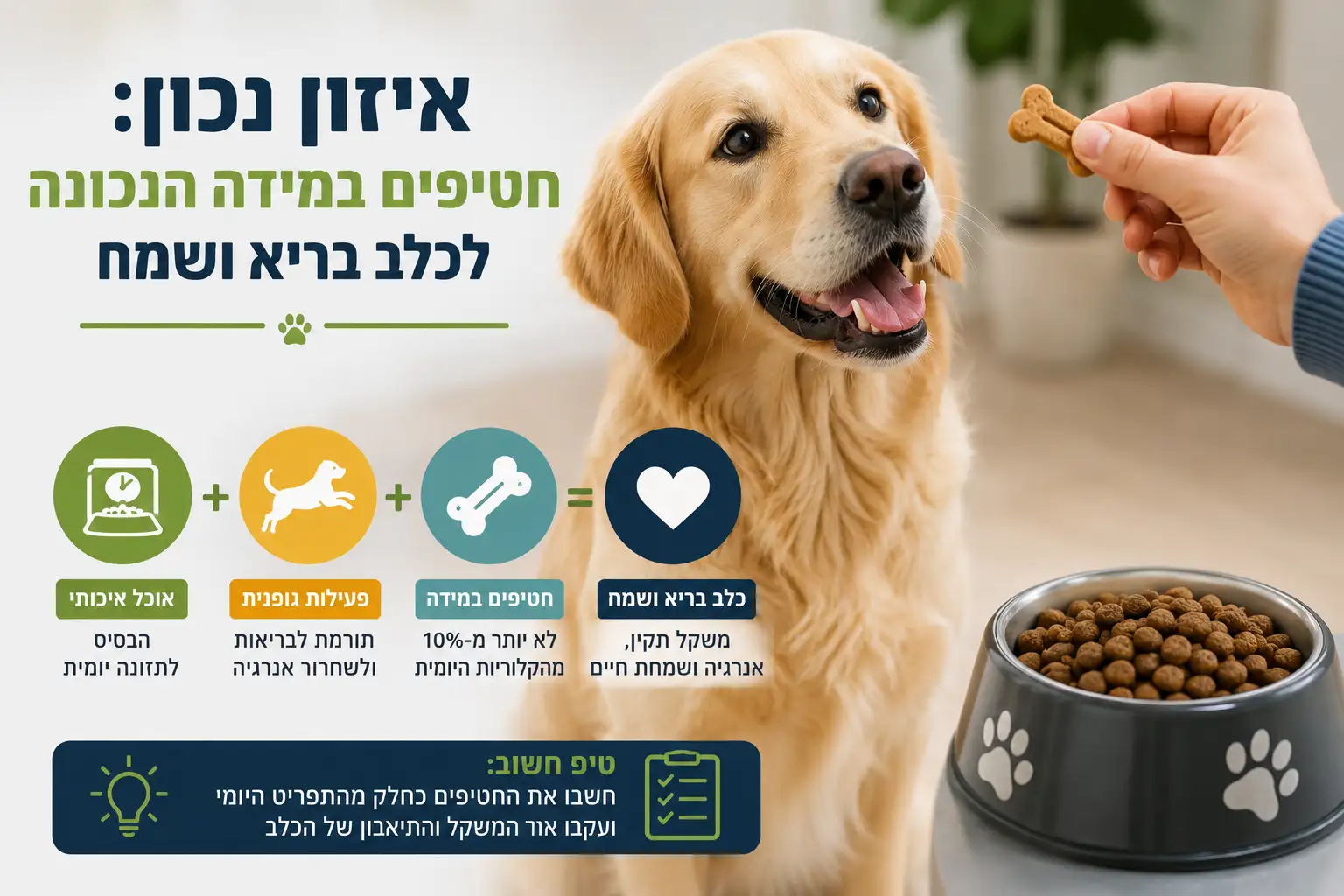 איזון נכון בין חטיפים לארוחות לכלב – כך שומרים על משקל תקין ומונעים עודף חטיפים