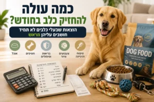 כמה עולה להחזיק כלב בחודש – כלב לצד אוכל, צעצועים, קערה והוצאות חודשיות במדריך על עלויות גידול כלב