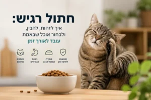 חתול רגיש אוכל ליד קערה – איך לזהות רגישות ולבחור אוכל שמתאים לאורך זמן