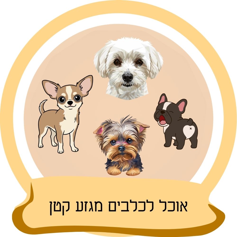אוכל לכלבים מגזע קטן