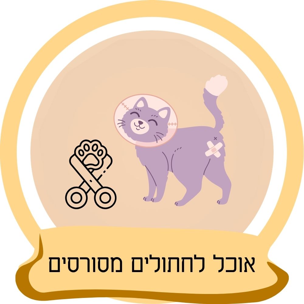 אוכל לחתולים מסורסים – מזון המותאם לחתולים לאחר סירוס
