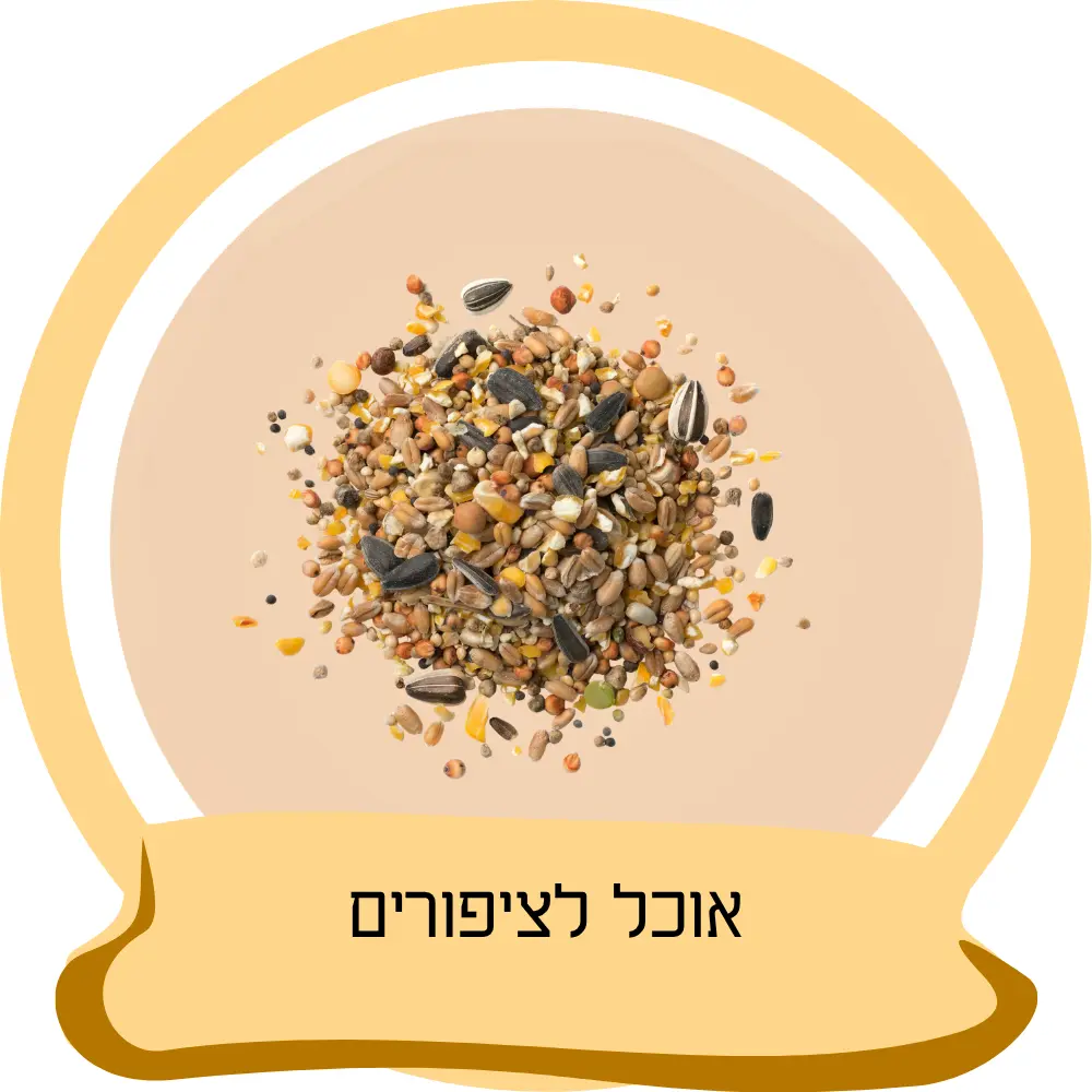אוכל לציפורים – תערובת זרעים ודגנים לציפורי מחמד