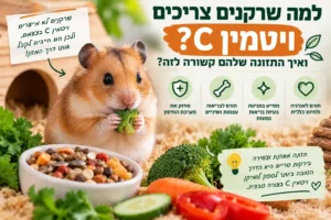 שרקן עם ירקות המספקים ויטמין C כחלק מתזונה מאוזנת