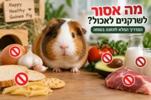 מה אסור לשרקנים לאכול