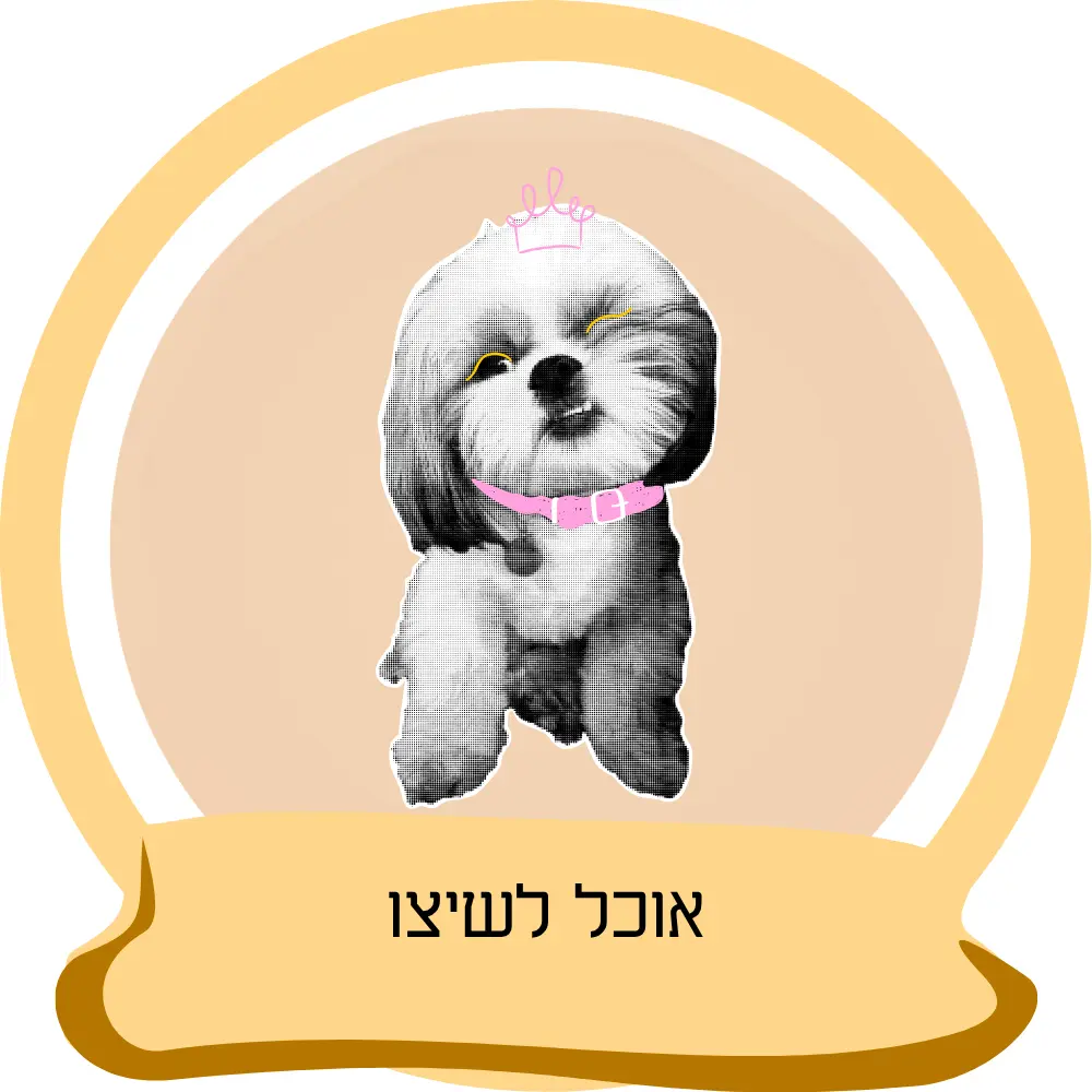 אוכל לשיצו – מזון מותאם לכלבי שיצו