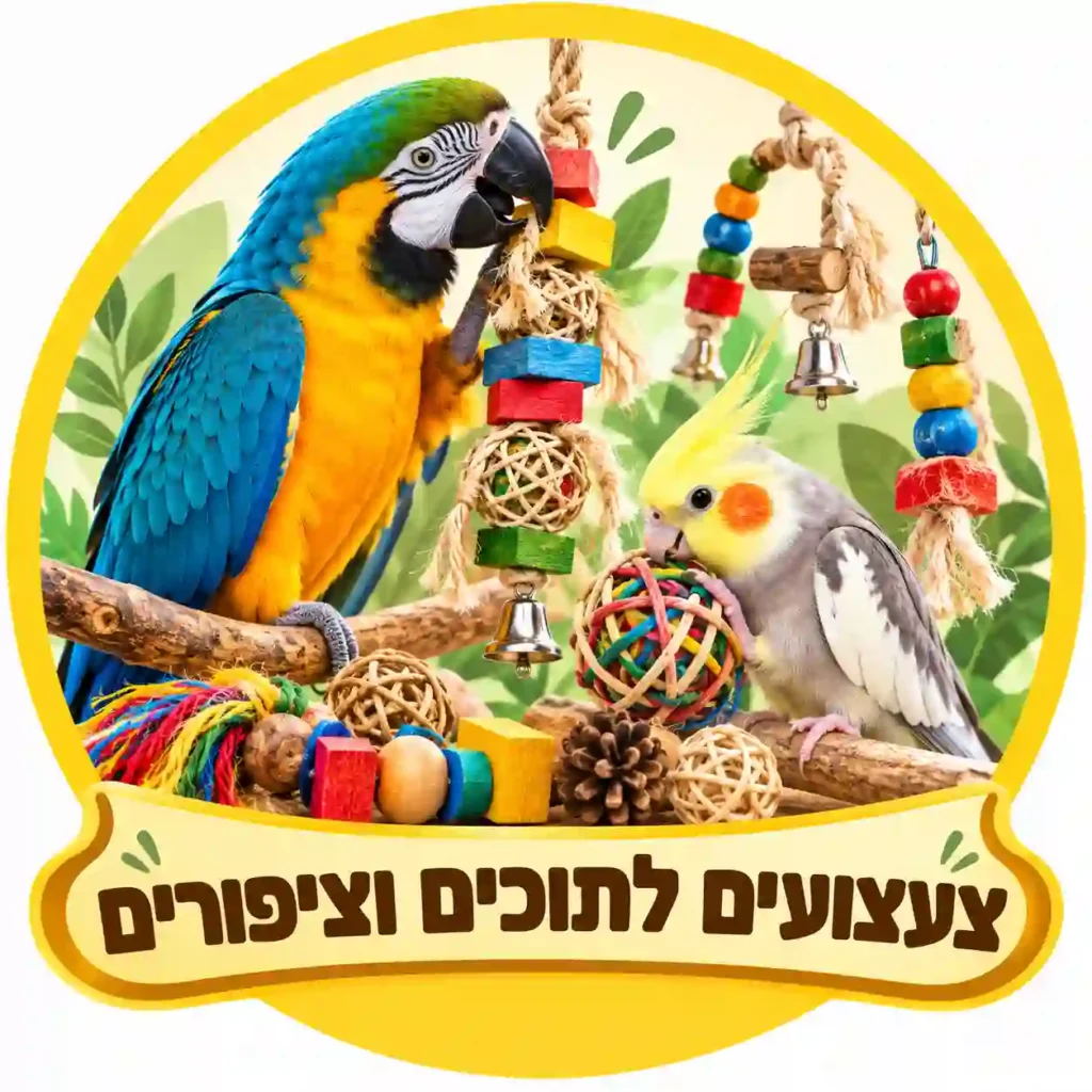 צעצועים לתוכים וציפורים – תוכי ארה וקוקטייל עם צעצועי תלייה, לעיסה והעשרה.