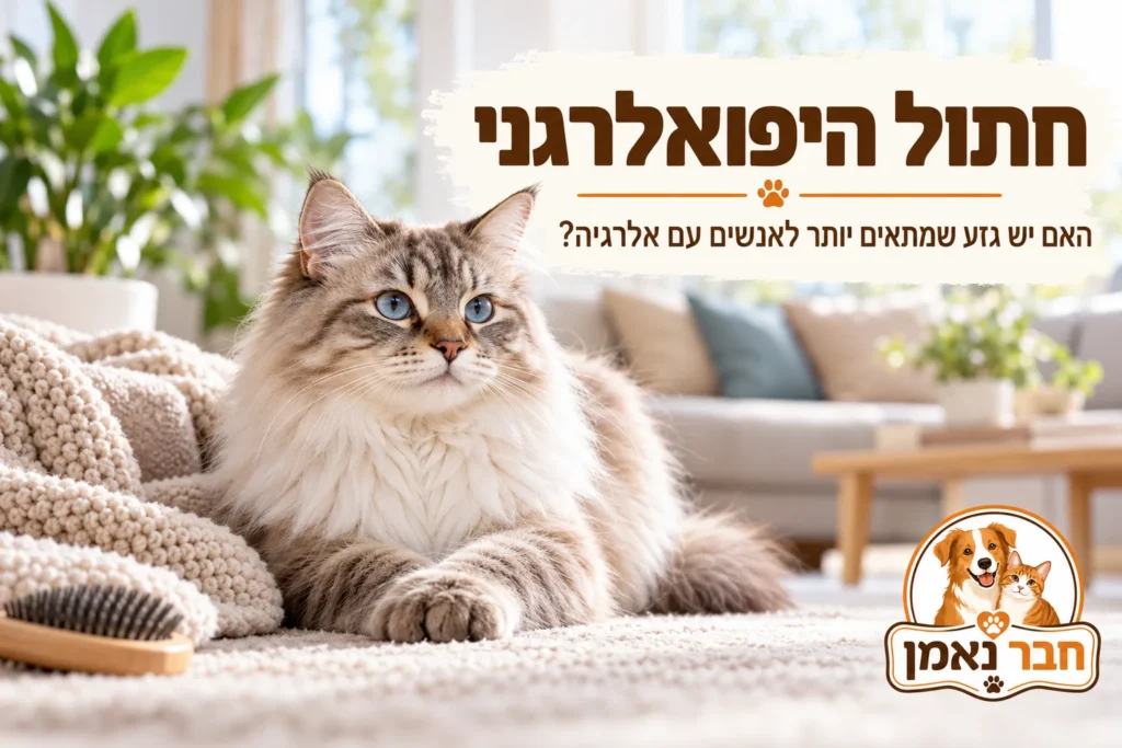 חתול היפואלרגני