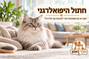 חתול היפואלרגני
