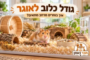 גודל כלוב לאוגר