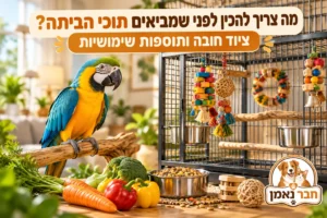 מה צריך לתוכי בבית
