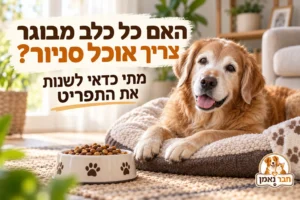 מתי לעבור לאוכל סניור