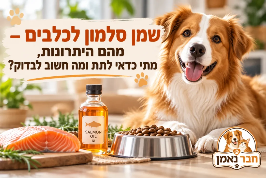 יתרונות שמן סלמון לכלבים