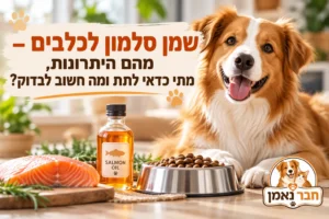 יתרונות שמן סלמון לכלבים